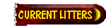 Current Litters