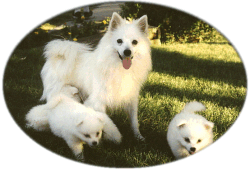 Goldie and Family