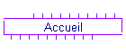 Accueil