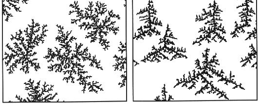 fractal, dendrites