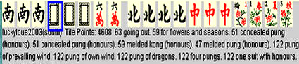 VirtualSuperSurvivor*s MahJong Hall Of Fame