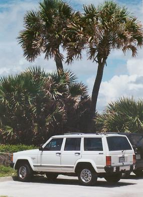 Cherokee at Hunting Island