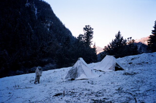 Freezing temperatures during the horse trek