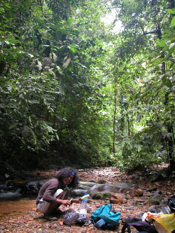 Jungle trek in Bukit Lawang