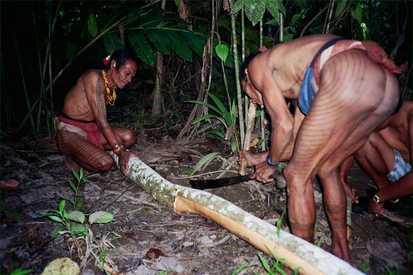 Making loincloths from bark
