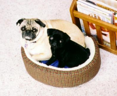 Mati and Ezzy