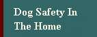 Dog Safety in The Home