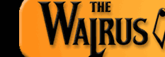 Mp3-03.gif (5247 bytes)