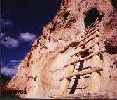 path7020.jpg