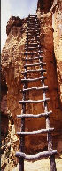 path7048.jpg