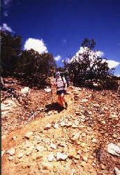 path7068.jpg