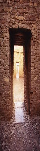 path7077.jpg