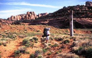 path7082.jpg