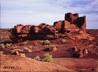 path7120.jpg