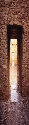 path7123.jpg