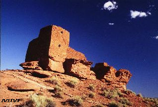 path7124.jpg