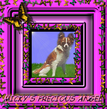 CLICK HERE TO SEE PUPPIES AVAILABLE