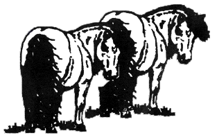 Click Here for Michigan Chapter Personal Ponies