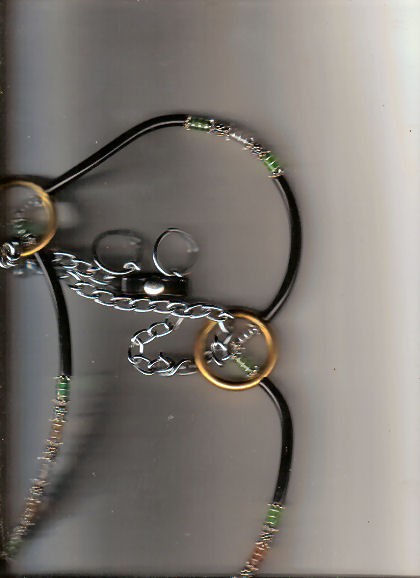 Amber Halter