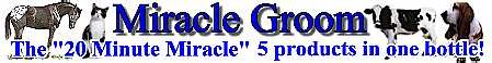 Click To Check Out Miracle Groom 