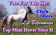 VOTE FOR US!&nbsp; 
