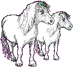 Click here to go to the Personal Ponies main Web Site