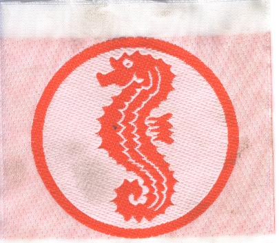 Seahorse patch