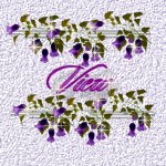 Guestbook