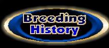 Bloodlines & breeding history