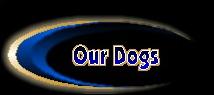Our pups
