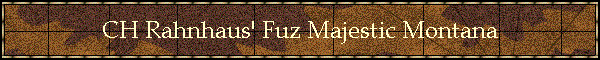 CH Rahnhaus' Fuz Majestic Montana