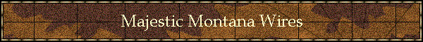 Majestic Montana Wires