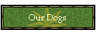 Our Dogs