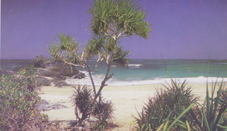White Sand Beach in Sumbawa
