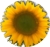 button (3K)