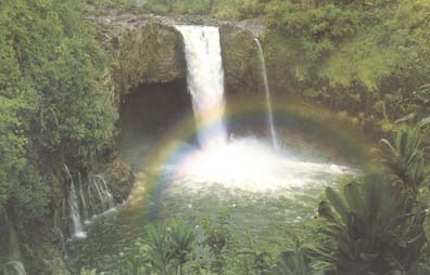 Hawaiian_Rainbow.jpg (23453 bytes)