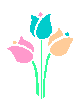 tulip593c.gif (1424 bytes)