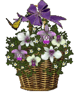 aflowers.gif (27078 bytes)
