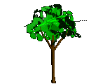 an5.gif (44098 bytes)