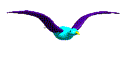 blue4.gif (3781 bytes)