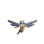 fairy_fly_ft.gif (2682 bytes)