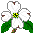 geo_dogwood1m.gif (1210 bytes)