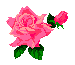j_rose.gif (729 bytes)