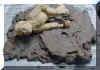 Building up the clay layer. jamould2.jpg (146798 bytes)