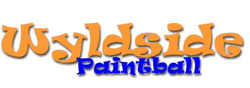 Logo Animation