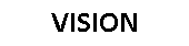Text Box: VISION