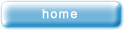 home button