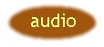 but_audio.jpg (2095 bytes)