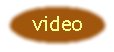 but_video.jpg (2055 bytes)