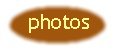 but_photos.jpg (2247 bytes)